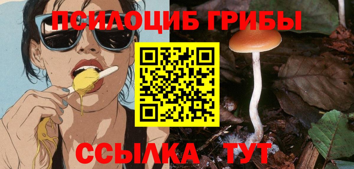 Псилоцибиновые грибы GOLDEN TEACHER  дарнет шоп  Курчалой  Вход с VPN 