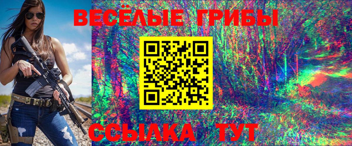 Псилоцибиновые грибы ЛСД Курчалой